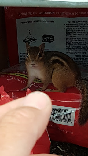 Home Improvement Store «The Home Depot», reviews and photos, 4195 24th Ave, Fort Gratiot Twp, MI 48059, USA