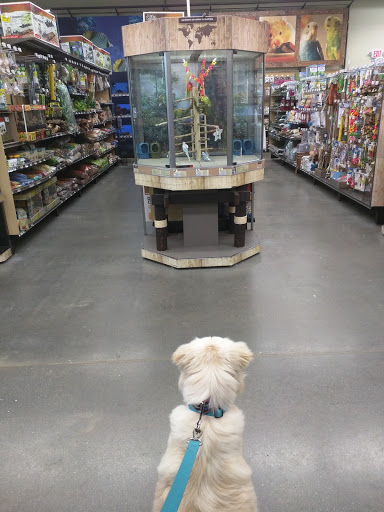 Pet Supply Store «Petco Animal Supplies», reviews and photos, 839 New York Ave, Huntington, NY 11743, USA