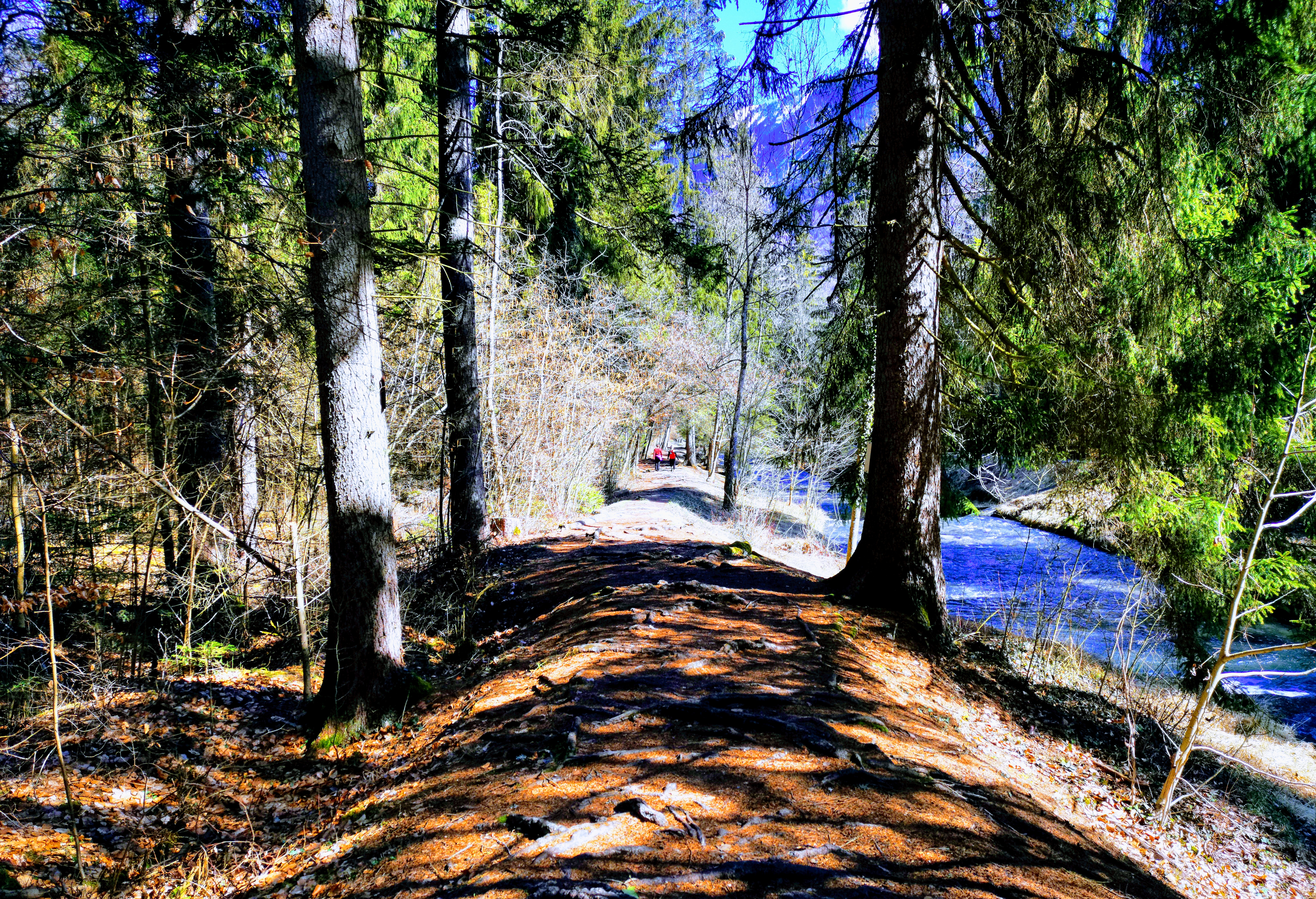 Photo n° 8 de l'avis de Simon.h fait le 19/07/2019 à 23:45