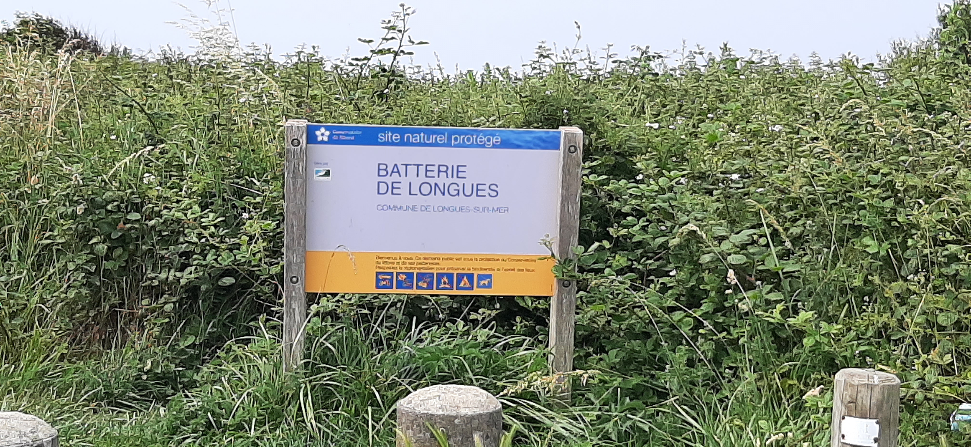 Photo n° 4 de l'avis de Gautier.a fait le 18/06/2023 à 07:13