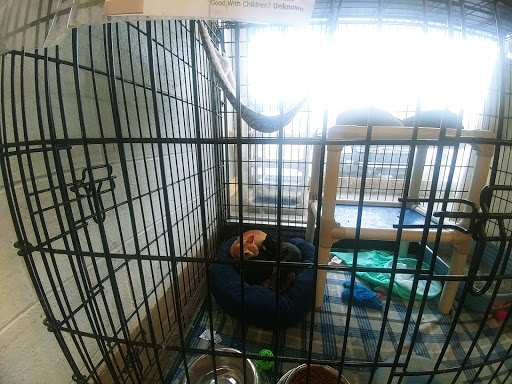 Animal Shelter «HELP the Animals, Inc», reviews and photos, 2101 W Main St, Richmond, IN 47374, USA