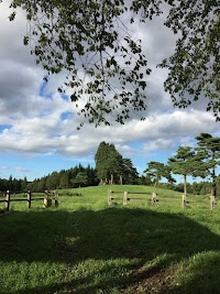 とりやべ動物病院
