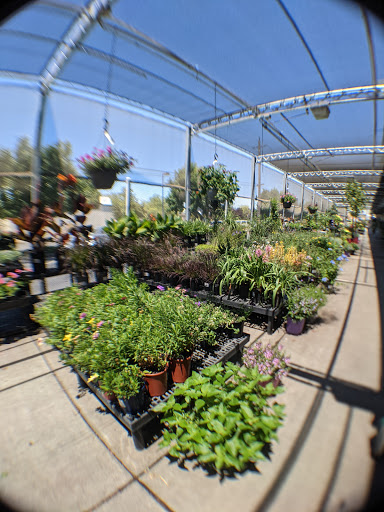 Hardware Store «Emigh Ace Hardware», reviews and photos, 3555 El Camino Ave, Sacramento, CA 95821, USA