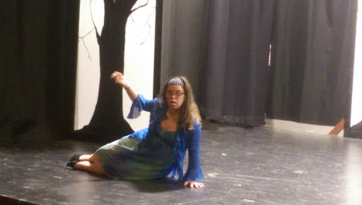 Performing Arts Theater «Cultural Arts Playhouse», reviews and photos, 170 Michael Dr, Syosset, NY 11791, USA