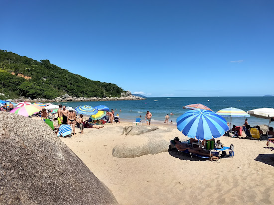 Praia da Tainha