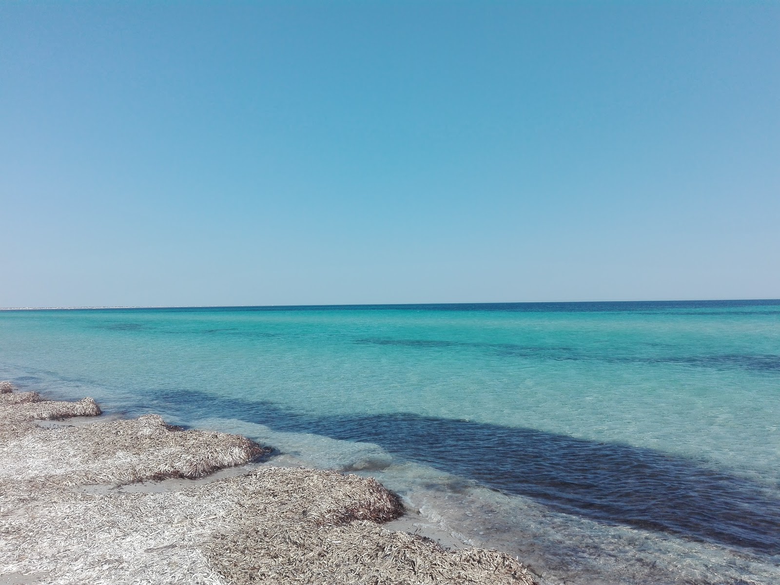 Capo Feto photo #8