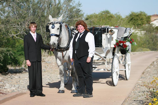 Carriage ride service Gilbert