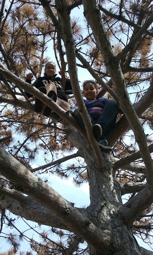 Park «Creekview Park», reviews and photos, 5001 Humboldt Ave N, Minneapolis, MN 55430, USA