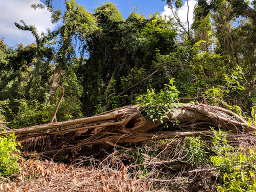 Park «Simpson Park», reviews and photos, 5 SW 17th Rd, Miami, FL 33129, USA