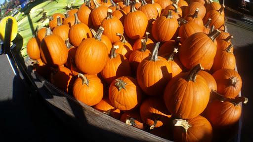 Produce Market «Tacoma Boys», reviews and photos, 5602 6th Ave, Tacoma, WA 98406, USA