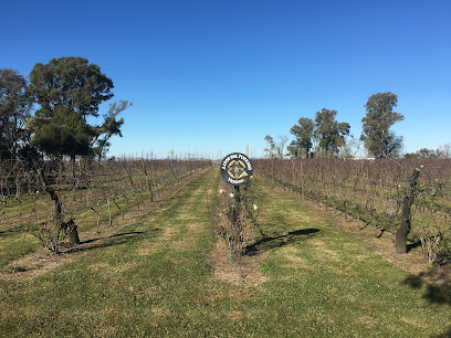 Altos del Gualeguaychú - Bodega Ianni