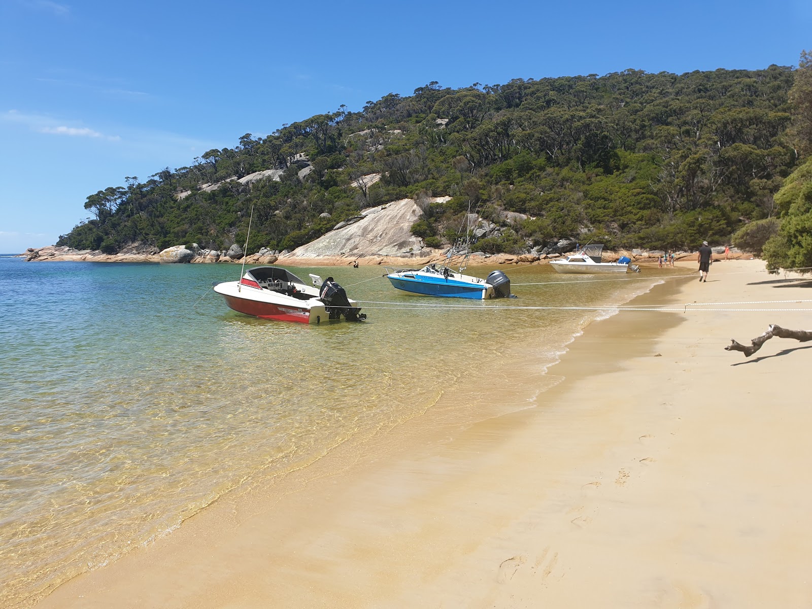 Photo of Refuge Cove Beach with bright fine sand surface