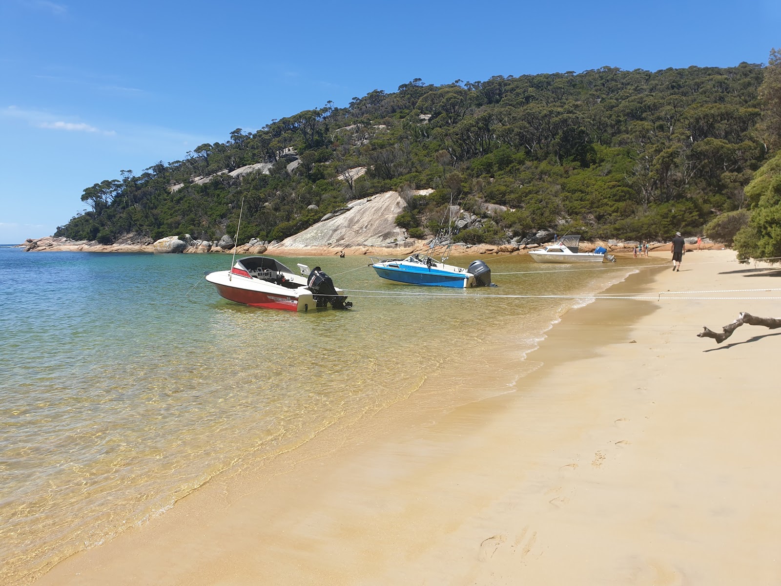 Foto di Refuge Cove Beach con una superficie del sabbia beige fine