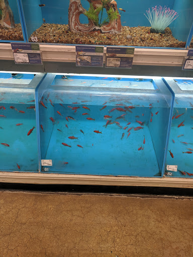 Pet Supply Store «PetSmart», reviews and photos, 863 St George Ave, Woodbridge, NJ 07095, USA