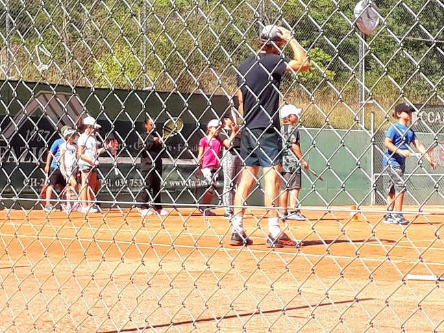 Rezensionen über Tennis Club du Mail in Neuenburg - Sportstätte