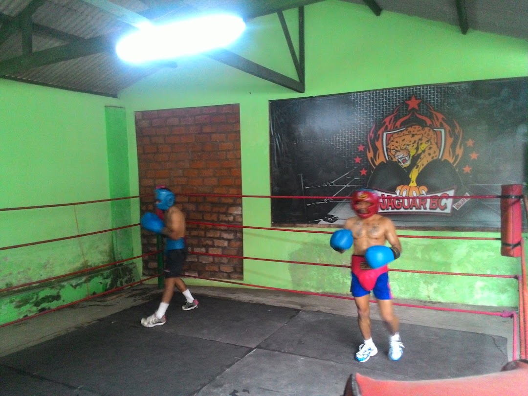 Jaguar Boxing Camp