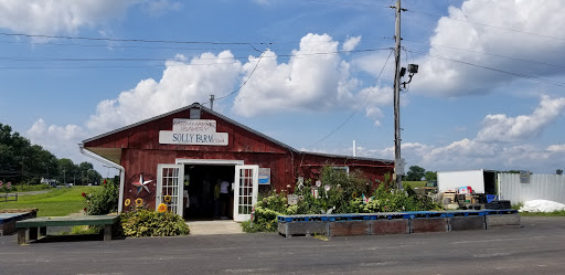 Produce Market «Solly Brothers», reviews and photos, 707 Almshouse Rd, Warminster, PA 18974, USA