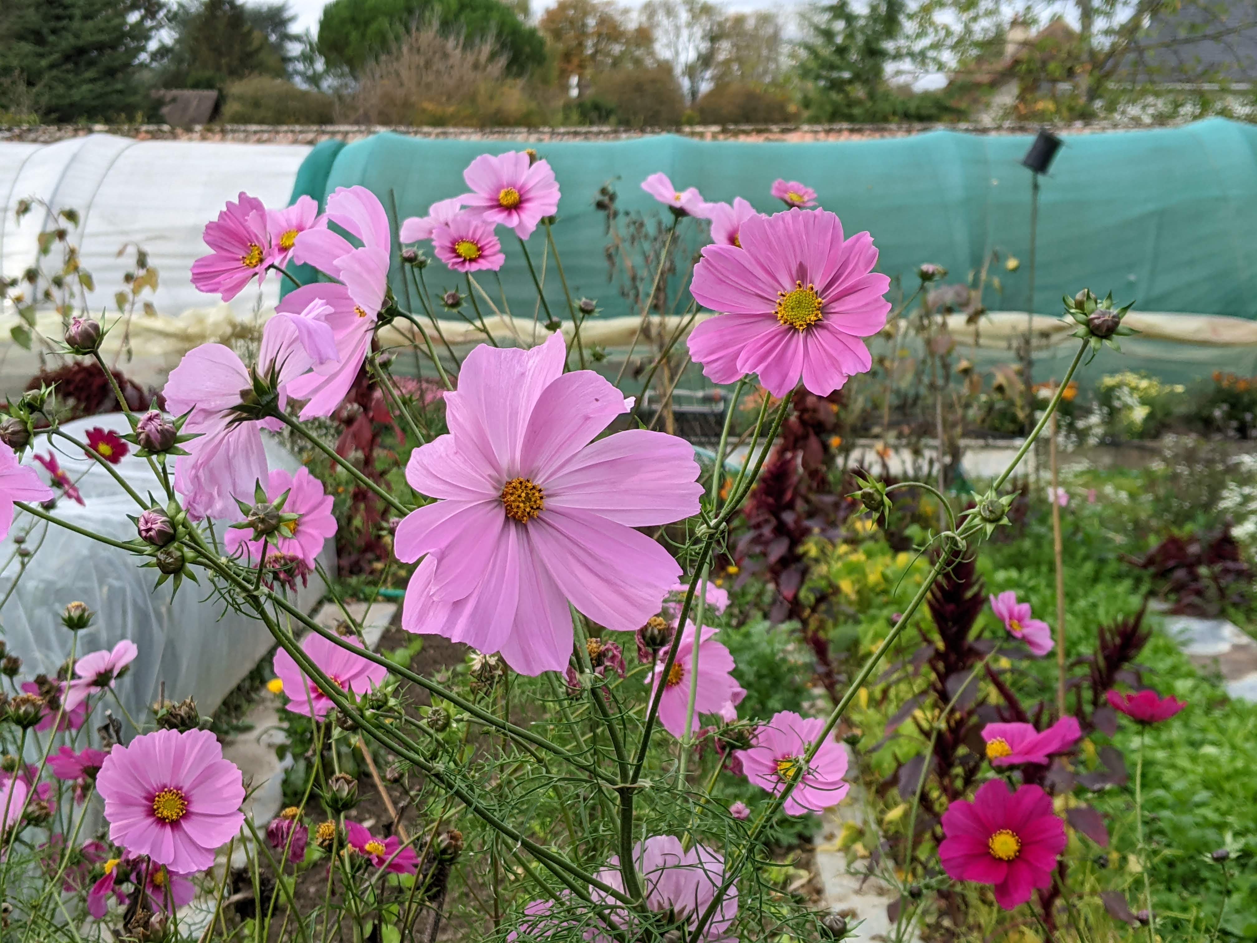 Photo n° 17 de l'avis de konrad.a fait le 08/11/2022 à 15:06