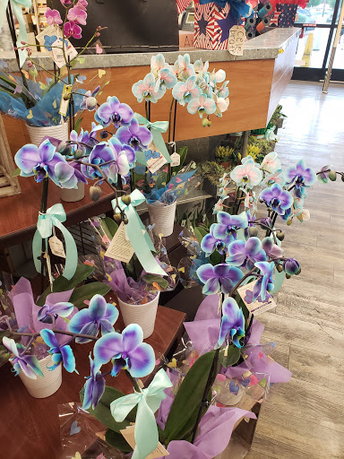 Grocery Store «Vons», reviews and photos, 932 E Badillo St, Covina, CA 91724, USA