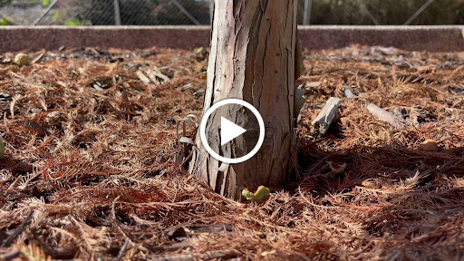 Arena «Philips Arena», reviews and photos, 1 Philips Dr, Atlanta, GA 30303, USA