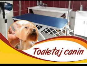 Toaletaj Canin Sancraiu De Mureș