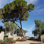 Photo n°1 de l'avis de Lee.i fait le 14/09/2018 à 15:58 sur le  Feudi del Pisciotto Wine Relais à Niscemi