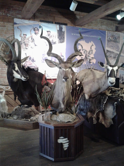 Stoops Big Game Taxidermy