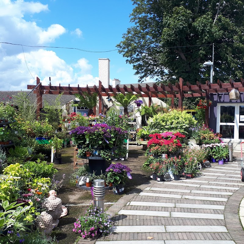 Enable Ireland Garden and Gift Store