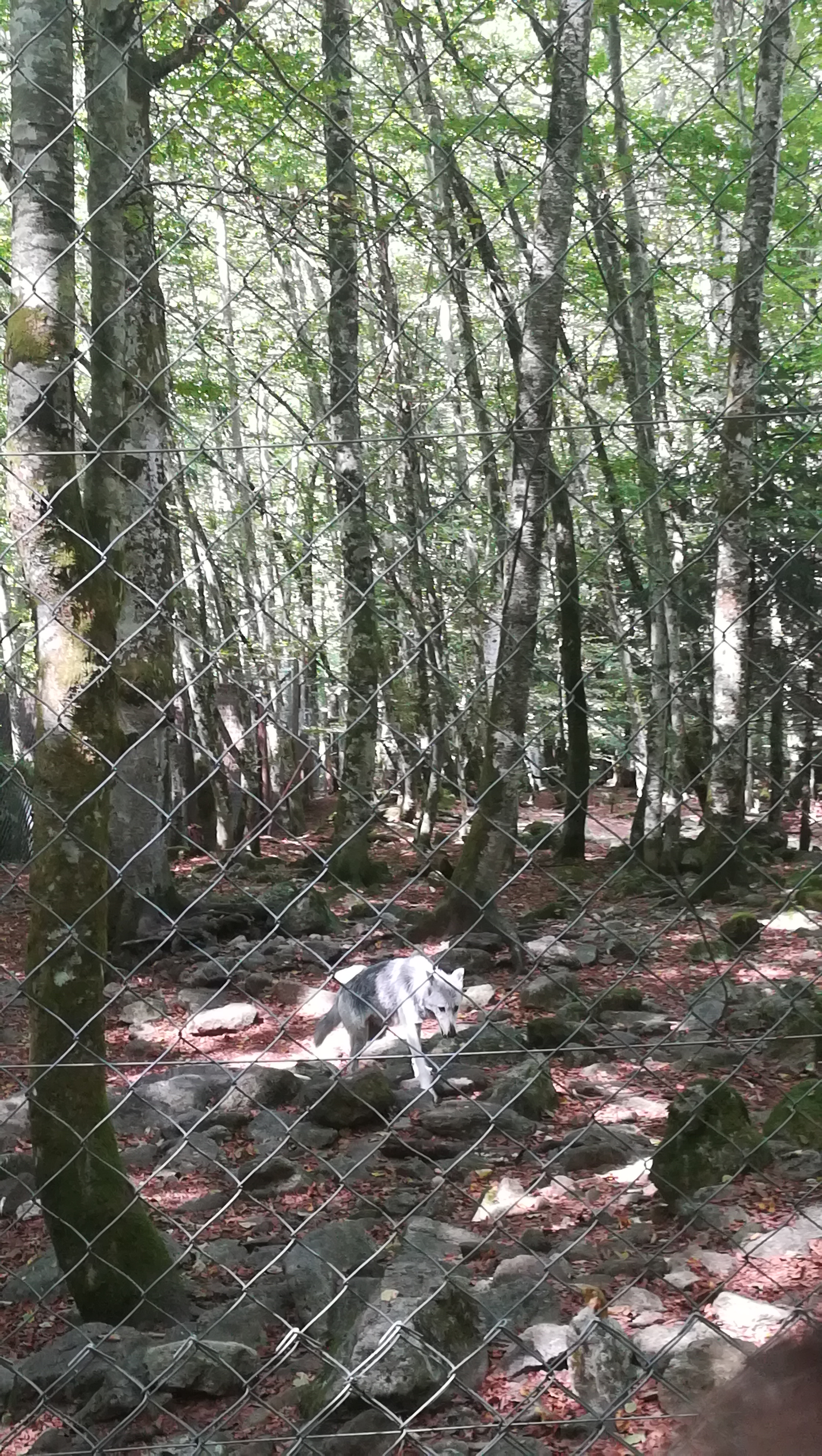 Photo n° 7 de l'avis de Melanie.a fait le 23/08/2018 à 08:47