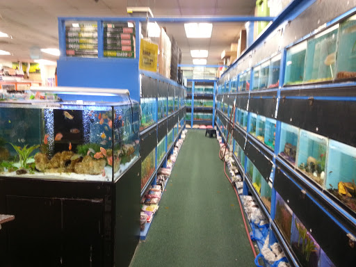 Pet Supply Store «PETNJOY - GARDENA», reviews and photos, 15515 Normandie Ave, Gardena, CA 90247, USA