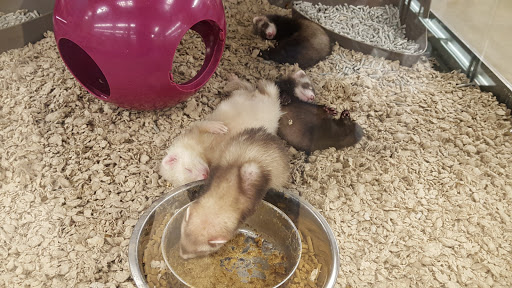 Pet Supply Store «Petco Animal Supplies», reviews and photos, 2714 Mountaineer Blvd, Charleston, WV 25309, USA