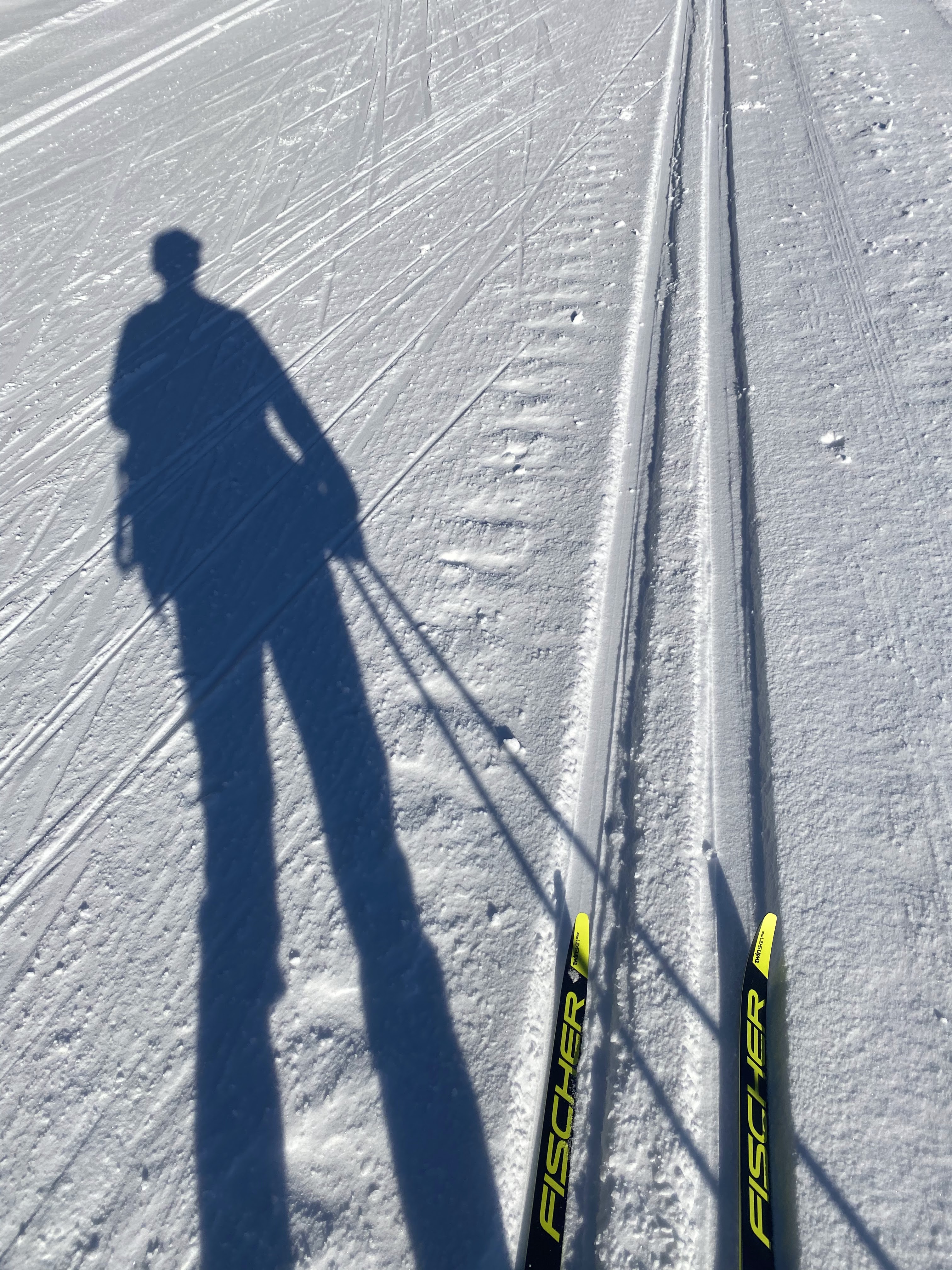 Photo n° 3 de l'avis de yas. fait le 29/12/2019 à 06:47