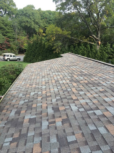 Roofing Contractor «Bone Dry Roofing», reviews and photos