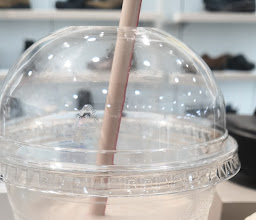 Burger King Gran Plaza photo