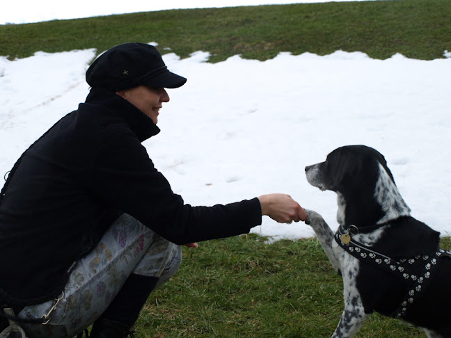 Rezensionen über Hundetraining mit Links - Simona Mayer in St. Gallen - Hundeschule