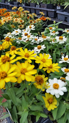 Florist «Kimrik Garden Center», reviews and photos, 1135 Beaver Valley Pike, Lancaster, PA 17602, USA