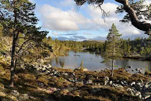 Femundsmarka National Park image