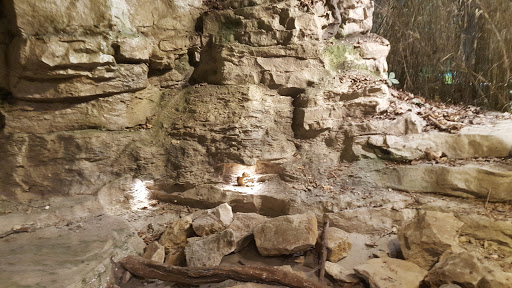 History Museum «Indiana State Museum», reviews and photos, 650 W Washington St, Indianapolis, IN 46204, USA