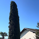 Photo n°3 de l'avis de Luca.u fait le 24/04/2024 à 12:45 sur le  Tenuta Agricola La Cava - Cantina e Agriturismo à San Damiano d'Asti