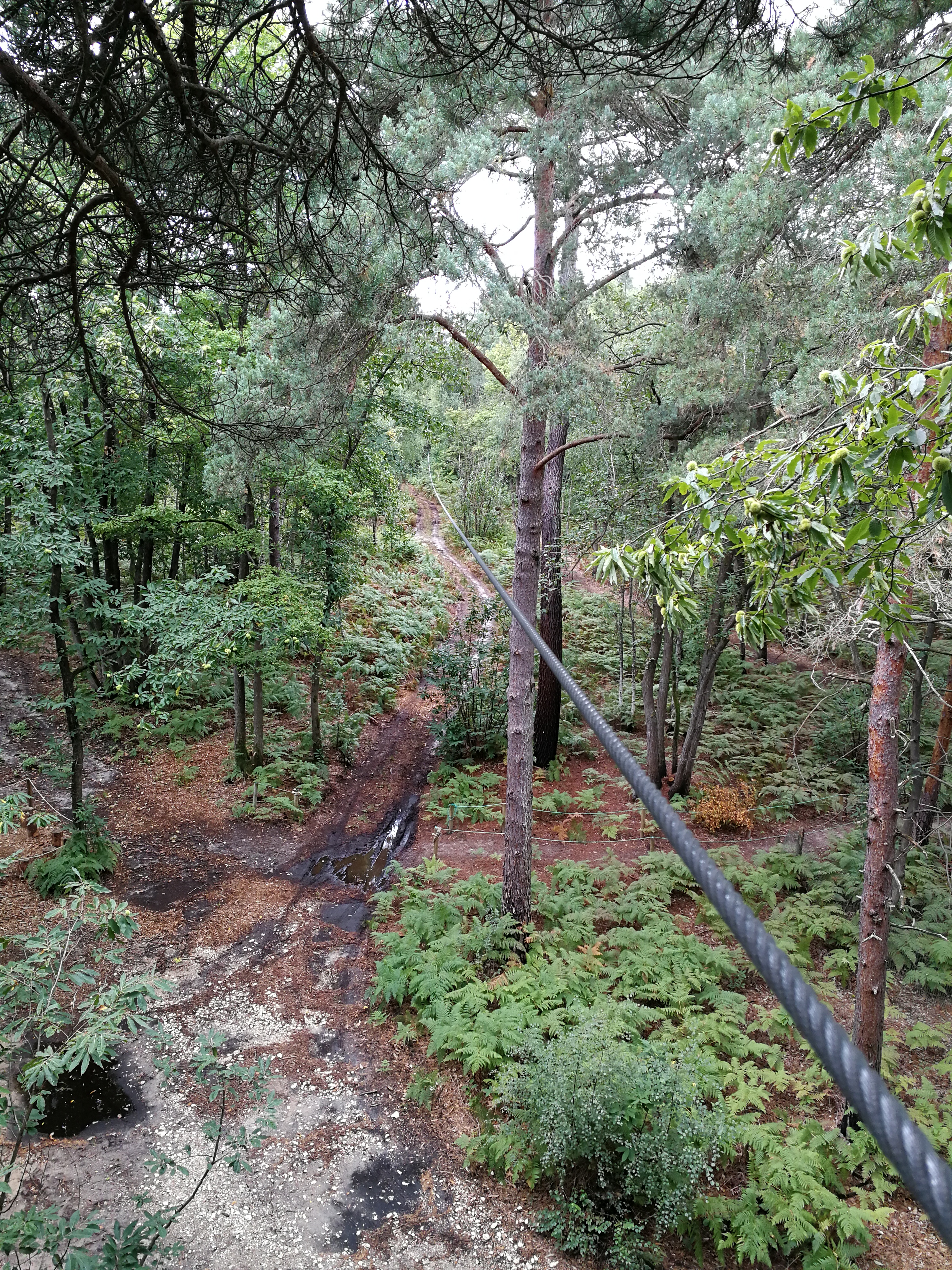 Photo n° 22 de l'avis de Laurent. fait le 15/09/2017 à 18:27