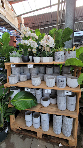 Home Improvement Store «The Home Depot», reviews and photos, 909 W McDermott Dr, Allen, TX 75013, USA