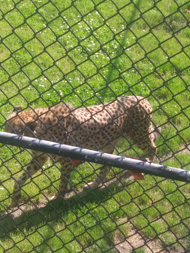 State Park «Parvin State Park», reviews and photos, 701 Almond Rd, Pittsgrove Township, NJ 08318, USA