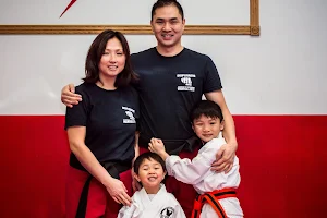 Academy of Integrated Martial Arts image