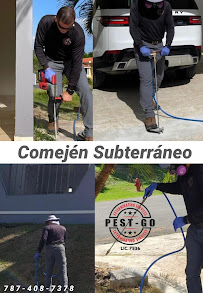 Pest-Go Exterminating Services - Photo 7 - Car repair in Aguada, Puerto Rico, Aguadilla
