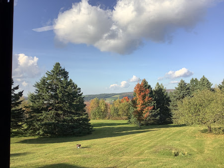 Hairfax International-Thetford Mines - Hairfax International-Thetford Mines