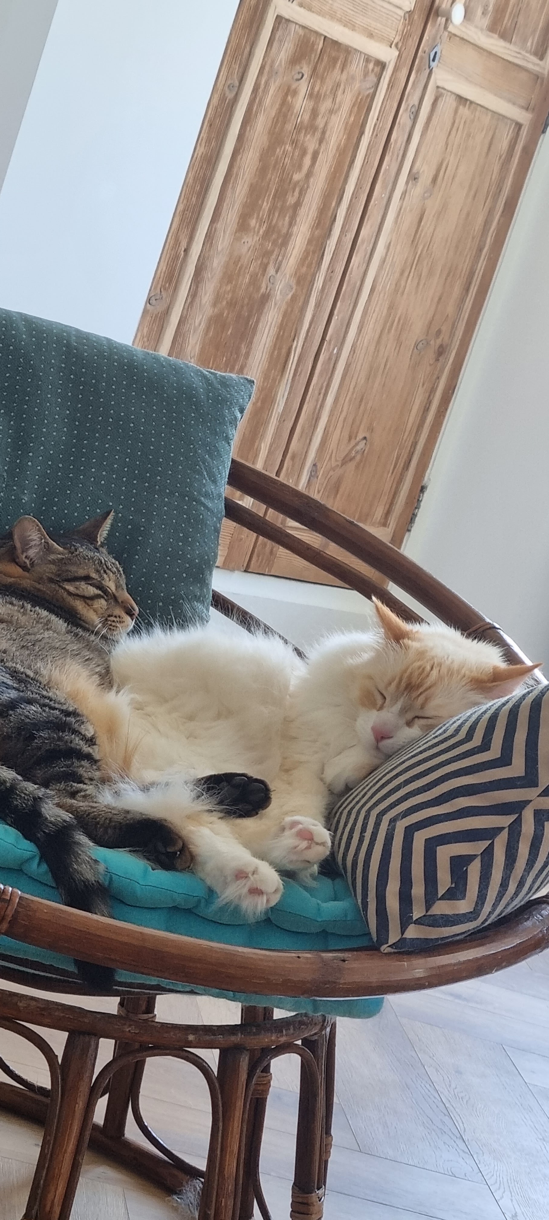 Photo n° 1 de l'avis de Titi.o fait le 24/05/2022 à 17:32