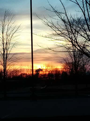 Grocery Store «Butera Market», reviews and photos, 600 Pearson Dr, Genoa, IL 60135, USA