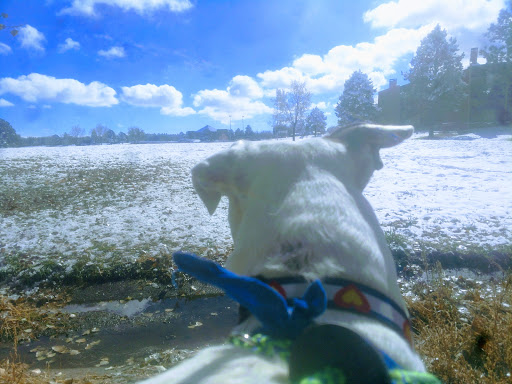 Park «Village Green Park», reviews and photos, 3590 N Carefree Cir, Colorado Springs, CO 80917, USA