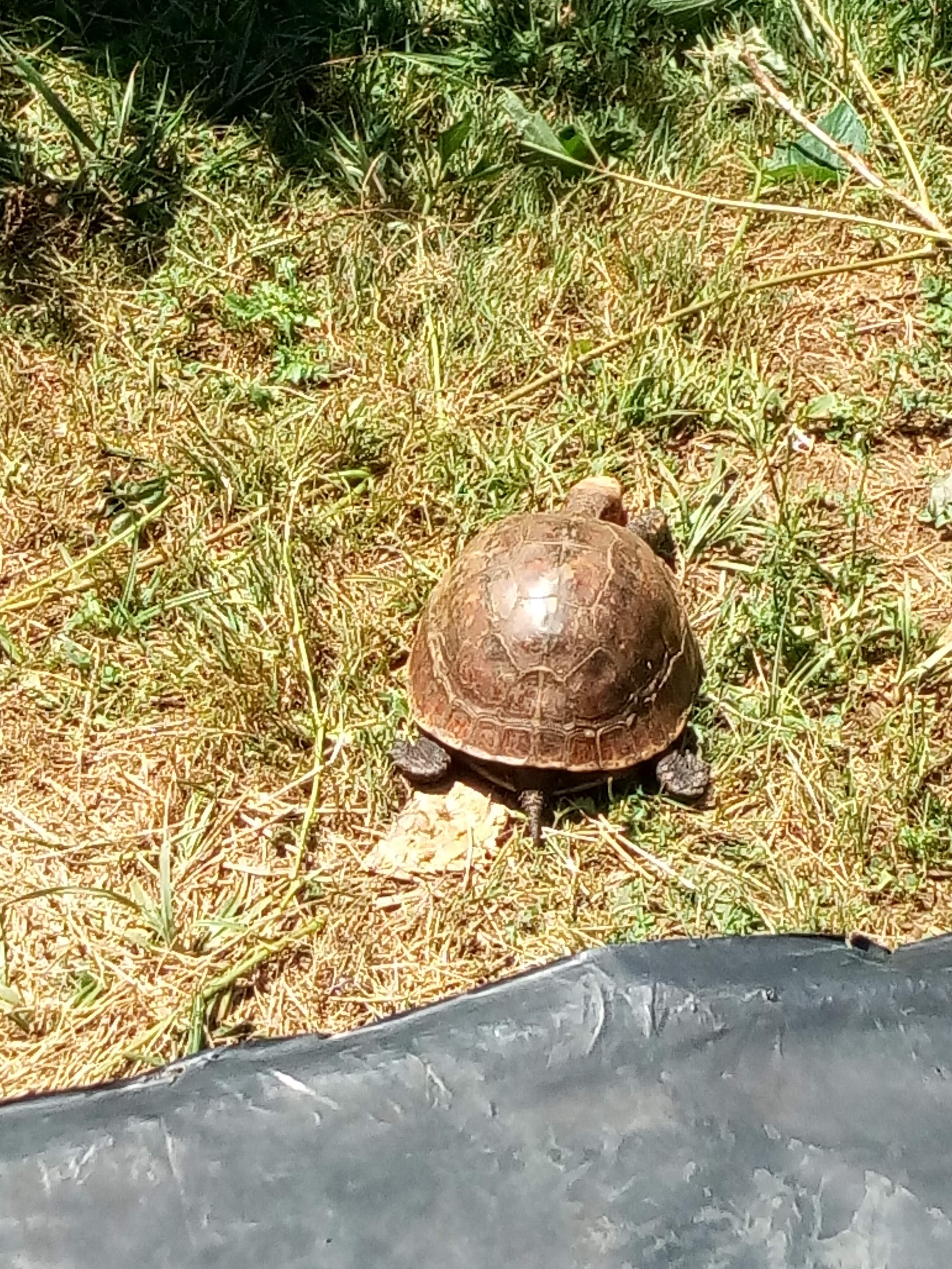 Photo n° 2 de l'avis de Sophie.a fait le 28/07/2019 à 13:03