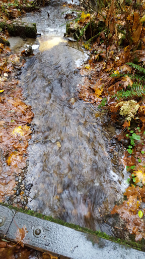 Nature Preserve «Redmond Watershed Preserve», reviews and photos, 21760 NE Novelty Hill Rd, Redmond, WA 98053, USA